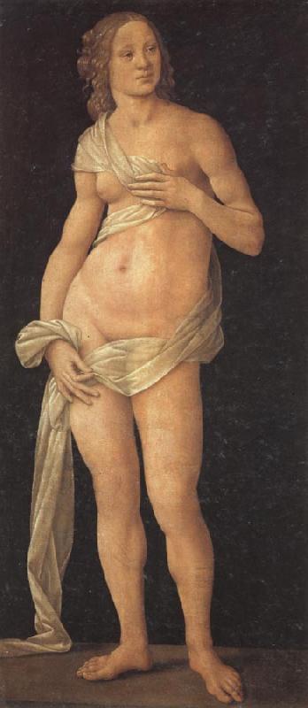 LORENZO DI CREDI Venus